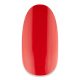 NiiZA Gel Polish 4ml - 116