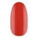 NiiZA Gel Polish 4ml - 338